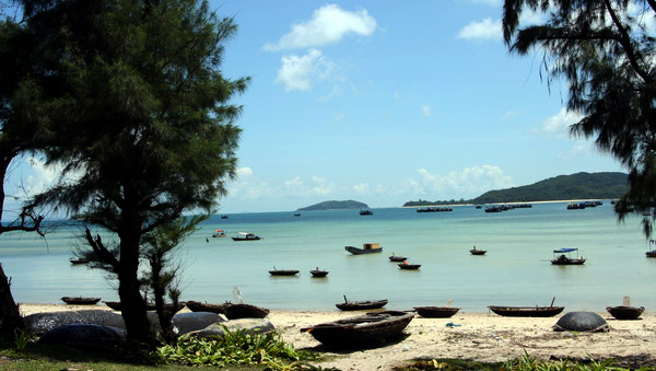 Distrito isleño de Co To: ejemplo destacado en edificación de nuevo campo